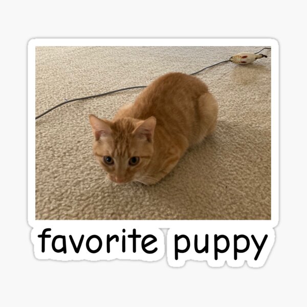 jambo favorite puppy Sticker