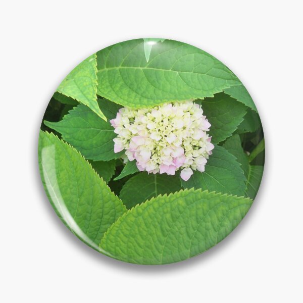 Item preview, Hydrangea designed and sold by Jujucreation.