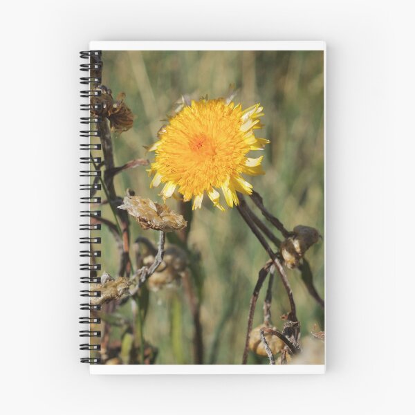 Item preview, Alpine Wild Flowers  designed and sold by D-GaP.