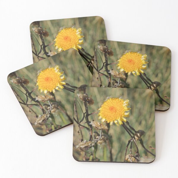 Item preview, Alpine Wild Flowers  designed and sold by D-GaP.