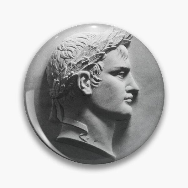 Item preview, Bas-relief of Napoleon in the chamber of the United States House of Representatives designed and sold by The Great  Art.