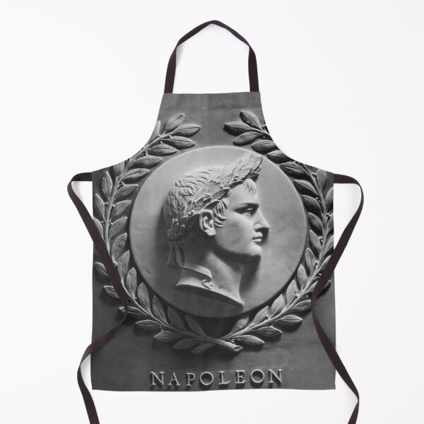 Item preview, Bas-relief of Napoleon in the chamber of the United States House of Representatives designed and sold by The Great Art.