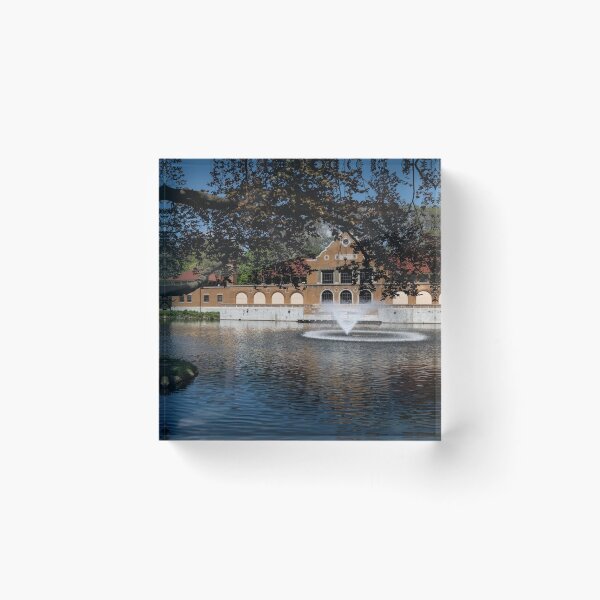 Item preview, Washington Park Albany designed and sold by barkeypf.