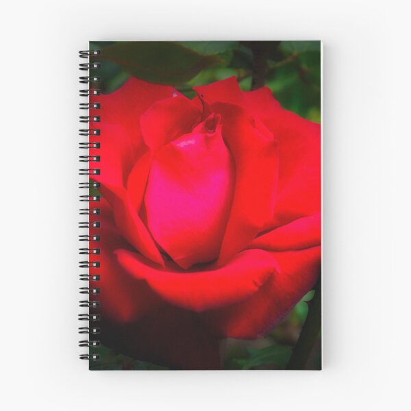 Item preview, A lovely red rose designed and sold by Fran Woods.