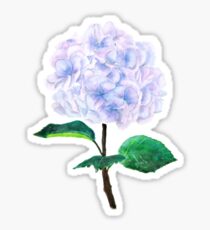 blue purple pink hydrangea Sticker