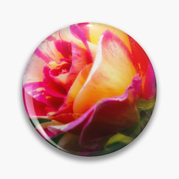 Item preview, Beautiful and colourful rose designed and sold by Fran Woods.