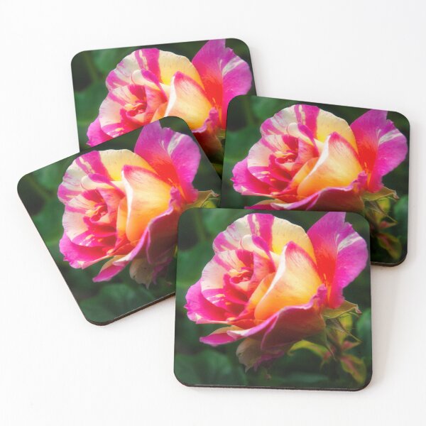 Item preview, Beautiful and colourful rose designed and sold by Fran Woods.