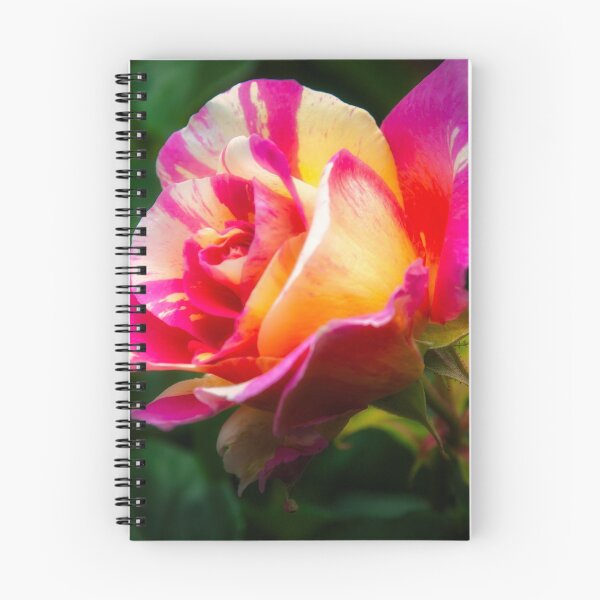Item preview, Beautiful and colourful rose  designed and sold by Fran Woods.