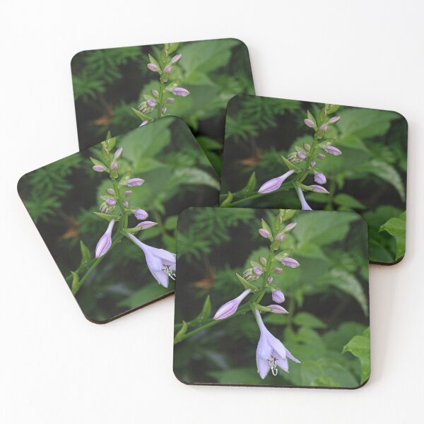 Item preview, Delicate Beauty  designed and sold by Lanis Rossi.