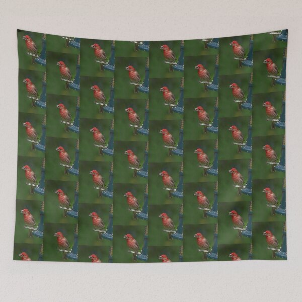 Item preview, A Tough Nut To Crack  designed and sold by Lanis Rossi.