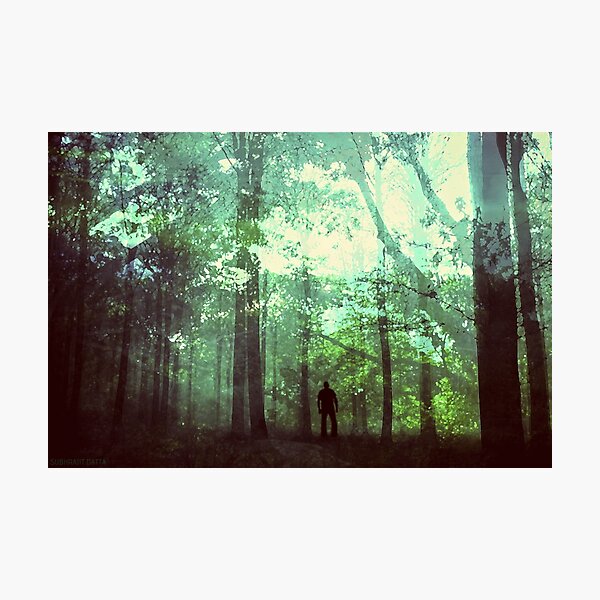 Into the wild Photographic Print