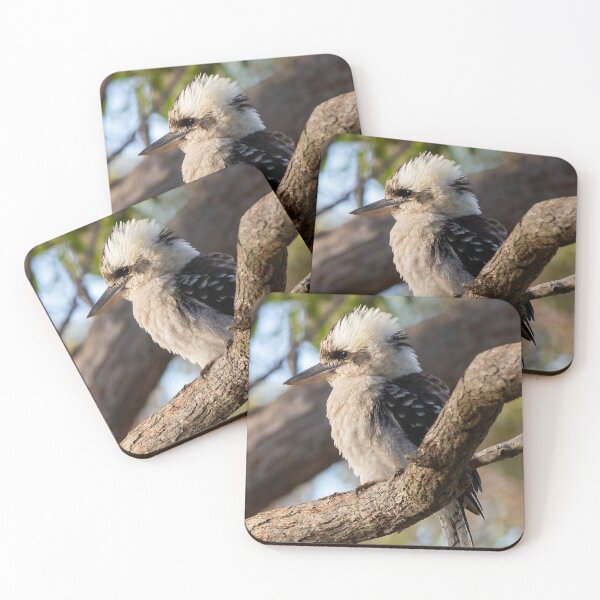 Item preview, Kookaburra australiana designed and sold by ImagesbyAB.