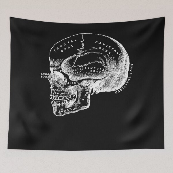 Item preview, Skull Halloween Skeleton Anatomy Gift T-Shirt designed and sold by JedFunk.