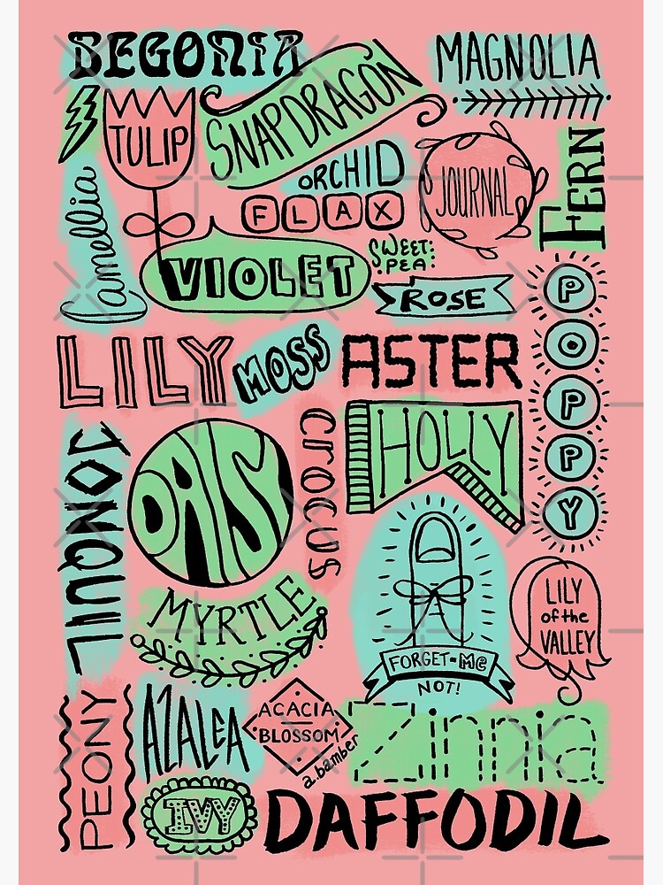 The Language of Flowers - Lettering by abamber