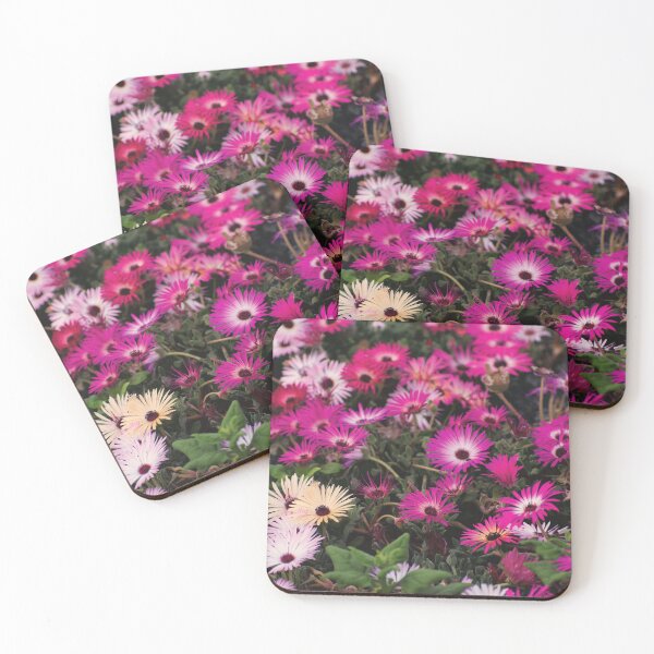 Item preview, Livingstone daisy designed and sold by carolmaia.
