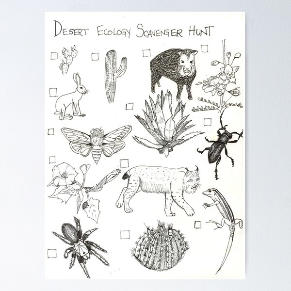 Item preview, Desert Ecology Scavenger Hunt designed and sold by tlars88.