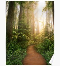 Sanctuary Poster