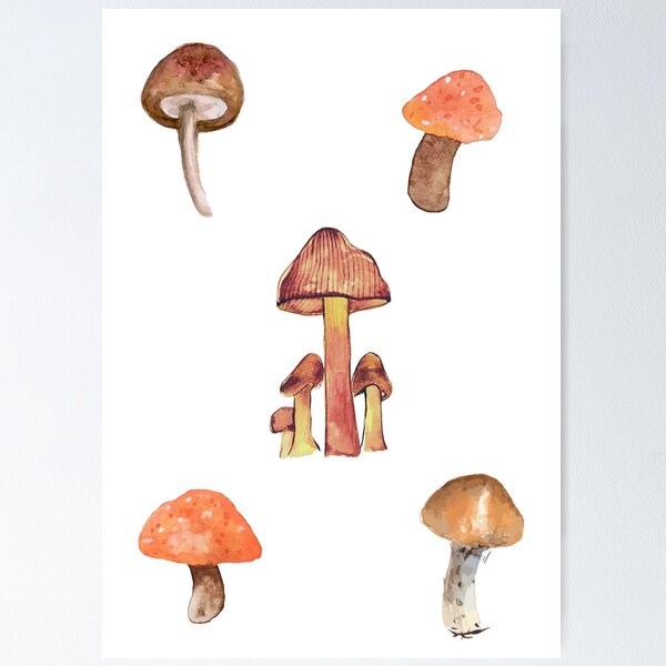 Item preview, watercolor painted mushroom pack designed and sold by Amalzaki.
