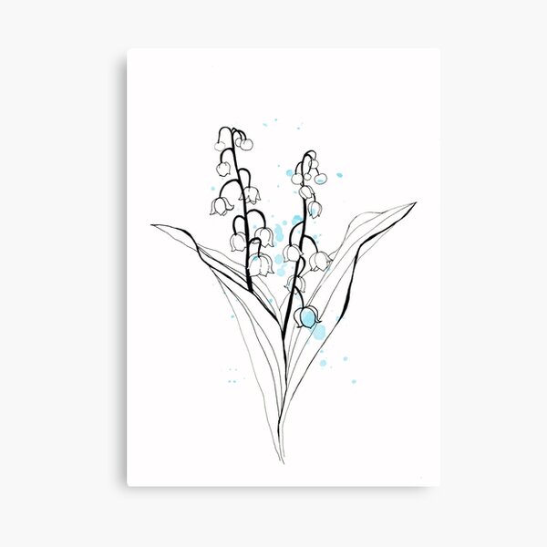 Lily of the valley Canvas Print