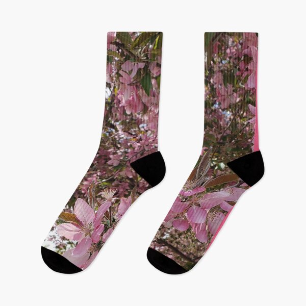 Item preview, Cherry Blossoms designed and sold by Unearthedphotos.
