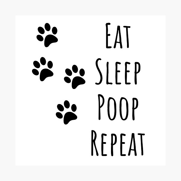 Item preview, eat sleep poop repeat | dog lover gift | dog T-shirt and more designed and sold by DeltaWhiskey-.