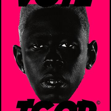 Vote Igor Poster, Tyler the Creator IGOR Illustrated Poster sold by ChaZhan  | SKU 38622866 | Printerval