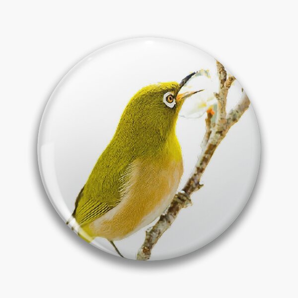 Item preview, Japan, plum, cape white-eyed bird, bird, spring bird body is mostly green, head is brown-green and yellow-brown, with dark brown spots and dark green designed and sold by zenger2021.