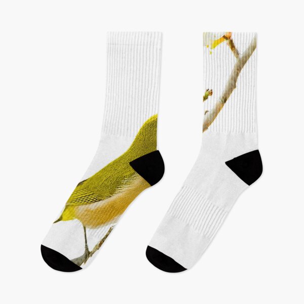 Item preview, Japan, plum, cape white-eyed bird, bird, spring bird body is mostly green, head is brown-green and yellow-brown, with dark brown spots and dark green designed and sold by zenger2021.