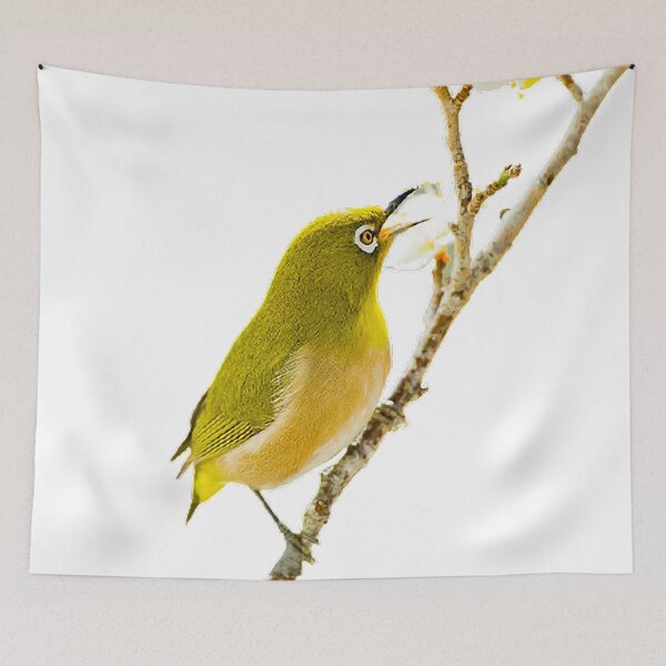 Item preview, Japan, plum, cape white-eyed bird, bird, spring bird body is mostly green, head is brown-green and yellow-brown, with dark brown spots and dark green designed and sold by zenger2021.