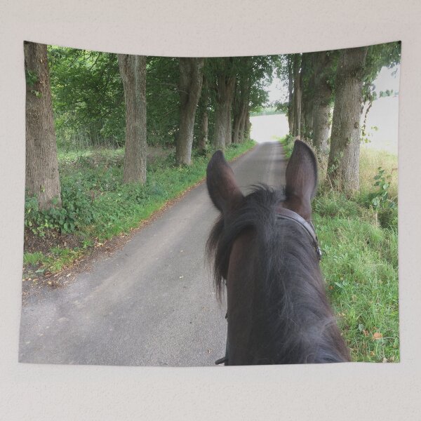Item preview, Horse riding on narrow street designed and sold by Lady-Frost.