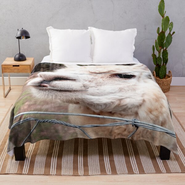 Item preview, Llama designed and sold by Elsabe Smith.