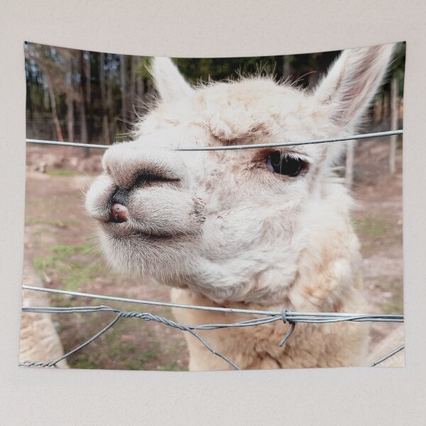 Item preview, Llama designed and sold by Elsabe Smith.