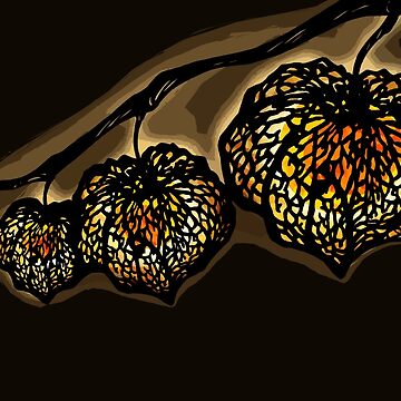 Artwork thumbnail, Chinese Lantern Plant /Night - Warm orange light in nature by SajuArtZen