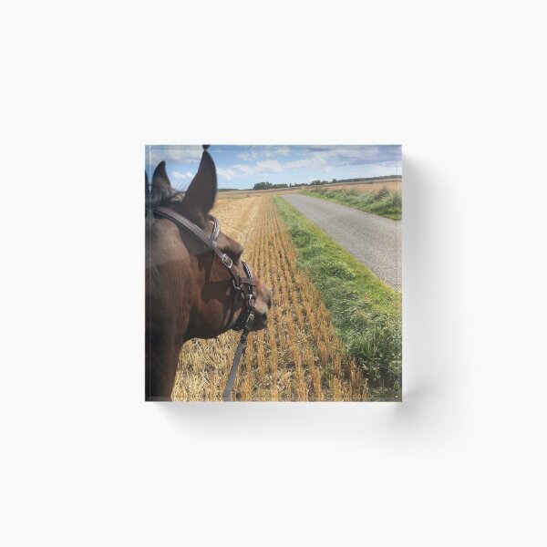 Item preview, Bitless riding over fields on a sunny summer day designed and sold by Lady-Frost.
