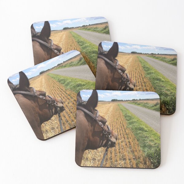 Item preview, Bitless riding over fields on a sunny summer day designed and sold by Lady-Frost.