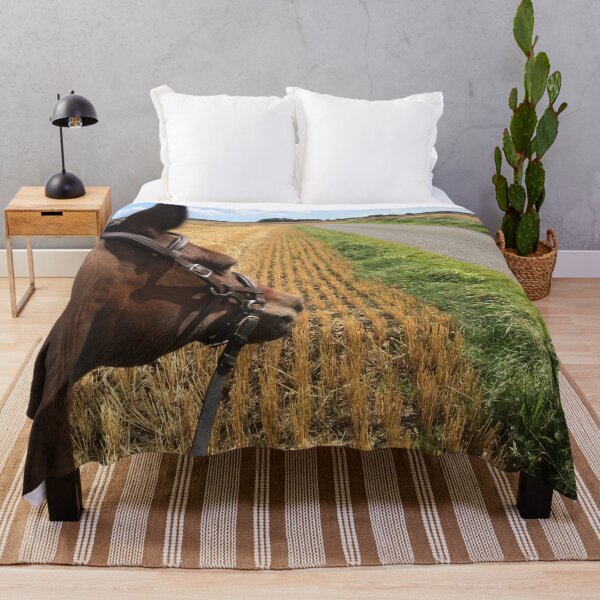 Item preview, Bitless riding over fields on a sunny summer day designed and sold by Lady-Frost.