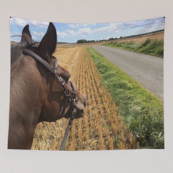 Item preview, Bitless riding over fields on a sunny summer day designed and sold by Lady-Frost.