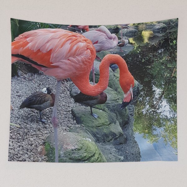Item preview, Flamingo designed and sold by Elsabe Smith.