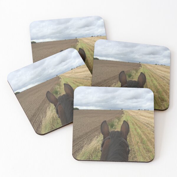 Item preview, Bitless horse riding over fields with clouds in the horizon designed and sold by Lady-Frost.