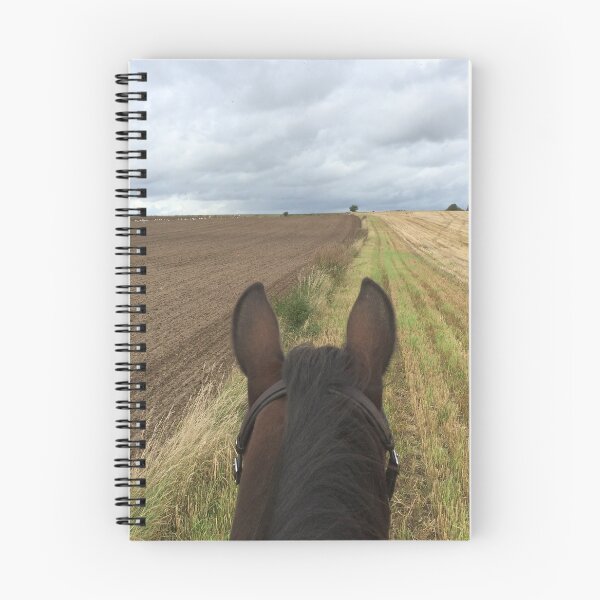Item preview, Bitless horse riding over fields with clouds in the horizon designed and sold by Lady-Frost.