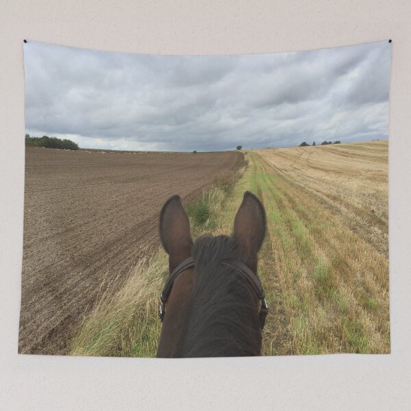 Item preview, Bitless horse riding over fields with clouds in the horizon designed and sold by Lady-Frost.
