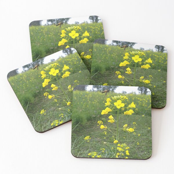 Item preview, beeline flying on yellow flower designed and sold by sbrstore.