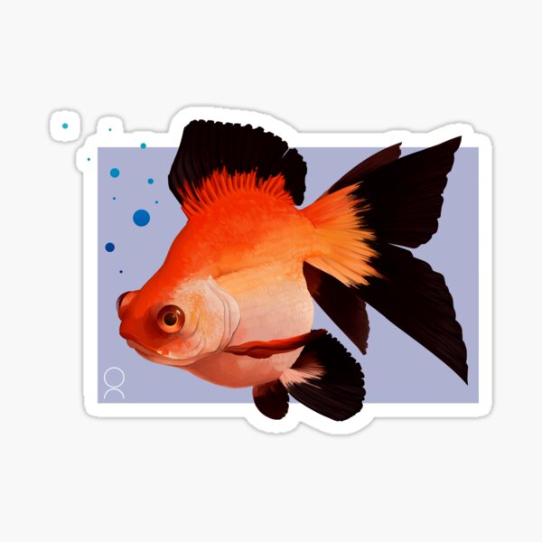 telescope goldfish petsmart