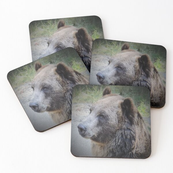 Item preview, BROWN BEAR designed and sold by RachelMacht.