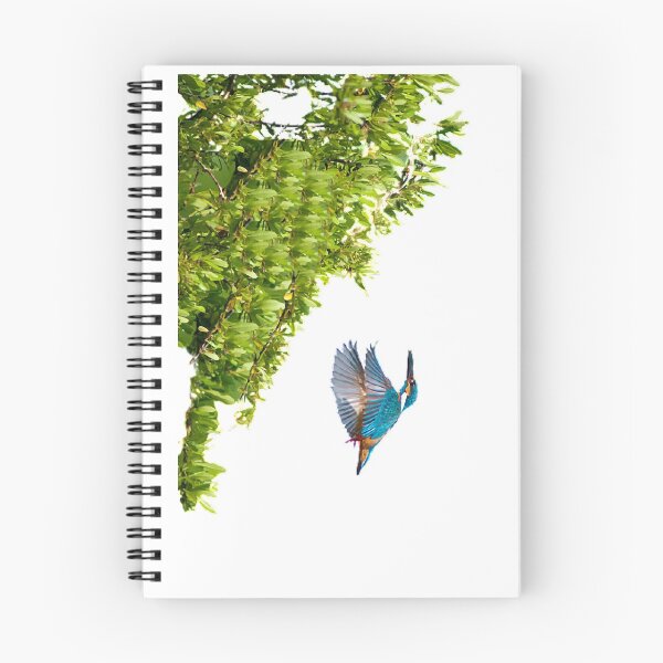 Item preview, Kingfisher, bird, jade, natural, unmanned. The characteristic of this genus of birds is that the beak is thick and straight designed and sold by zenger2021.