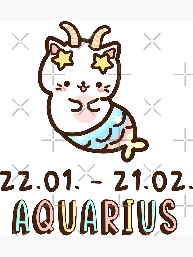 Kawaii zodiac sign Aquarius Birthday GiftMermaid