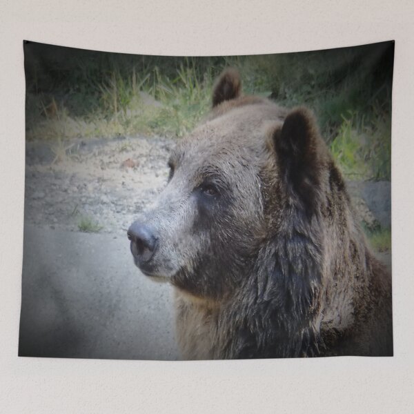 Item preview, BROWN BEAR designed and sold by RachelMacht.