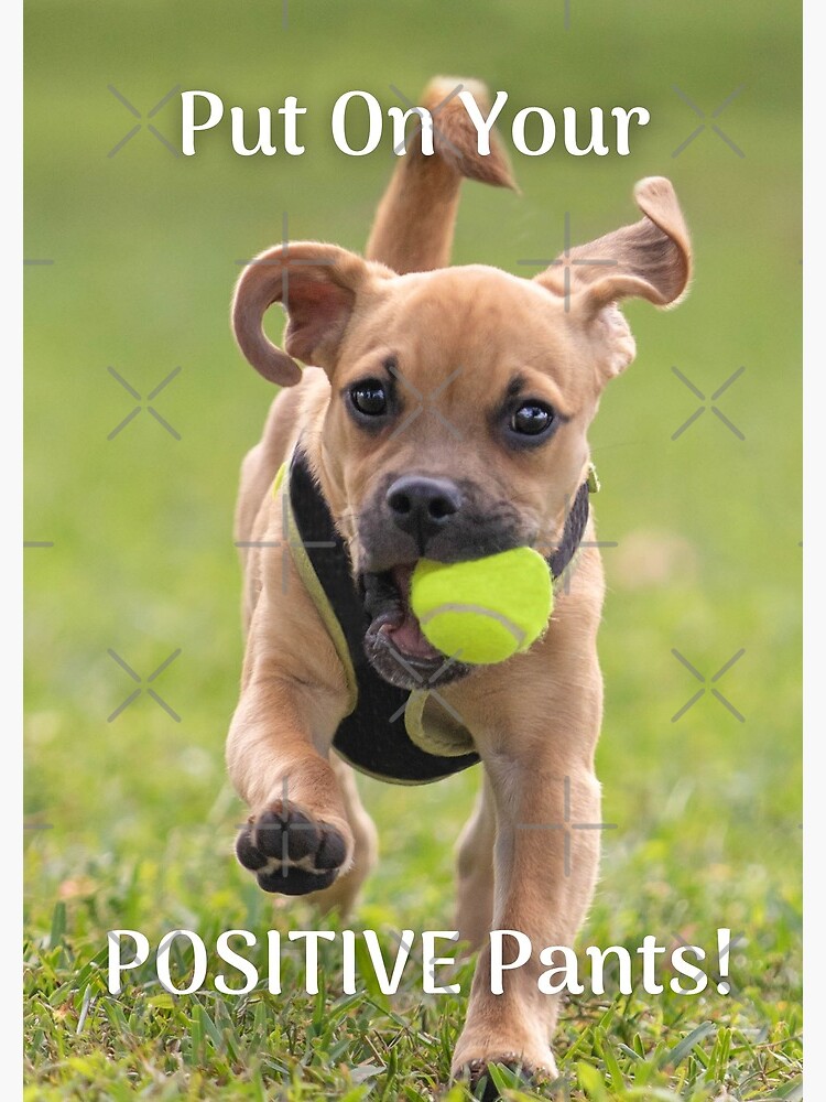Thumbnail 3 of 3, Journal, Time to Put On Your Positive Pants! designed and sold by bluemerleminion.