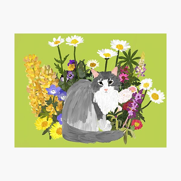 Cat stamp Greeting Card for Sale by Darjeelingchan