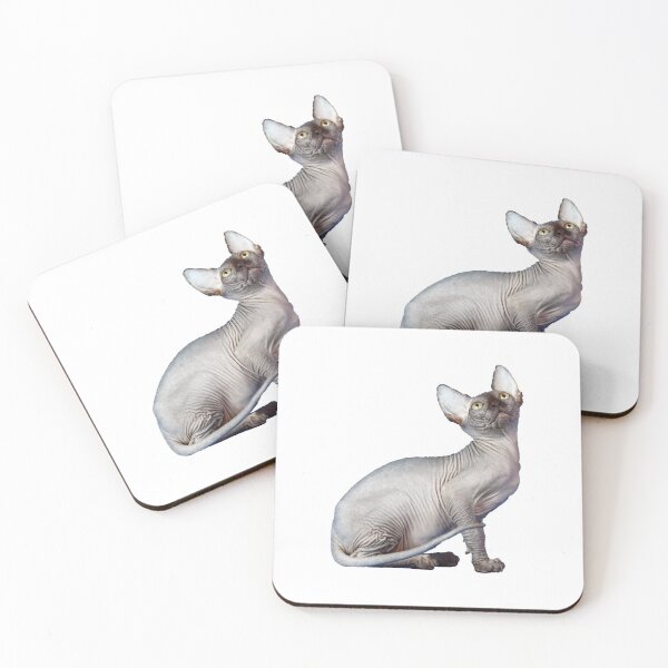 Item preview, bald cat, sphinx,  looking up designed and sold by filon19931.